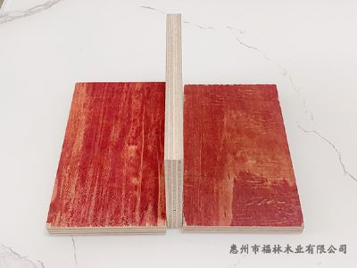 �㶫����ģ�峧��-����ľҵ